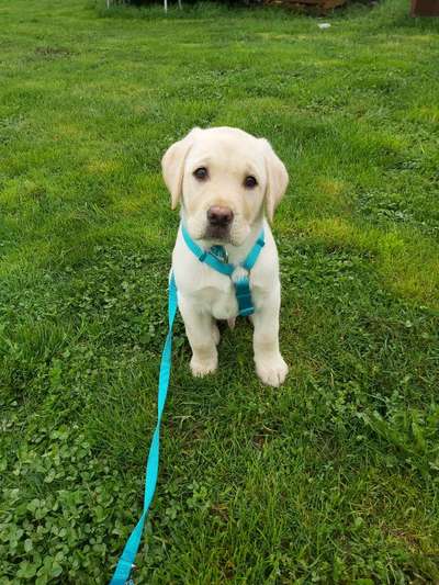 Farben Fotochallenge Thema ,,Grün"-Beitrag-Bild