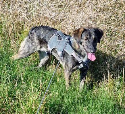 Farben Fotochallenge Thema ,,Grün"-Beitrag-Bild