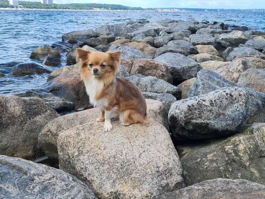 Doppelgänger gesucht !-Beitrag-Bild