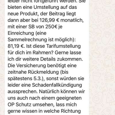 Erfahrung mit der Vollversicherung von Cleo?-Beitrag-Bild