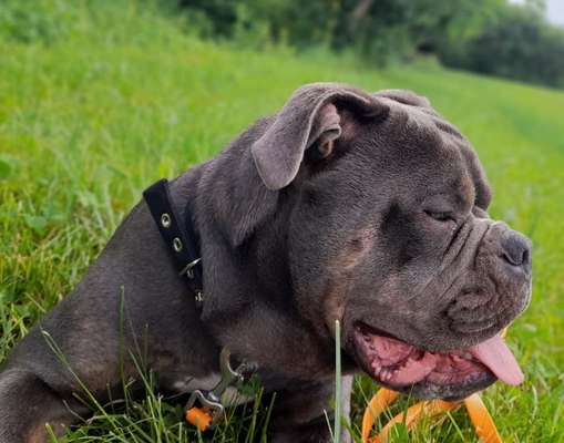 Lieblingsbild-Beitrag-Bild