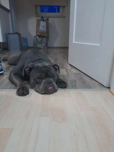 Schlafposition-Beitrag-Bild