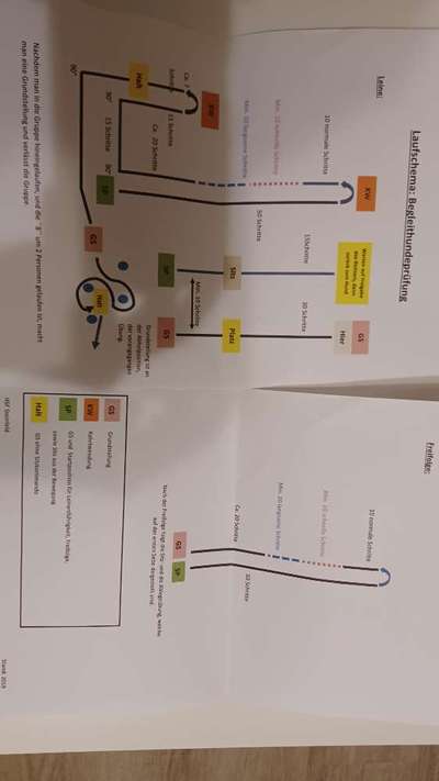 Begleithundeprüfung ohne Hundeschule-Beitrag-Bild