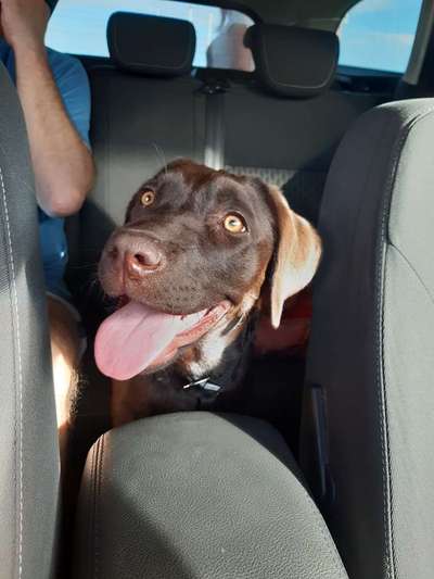 CHALLENGE NR. 18 - ON TOUR-Beitrag-Bild