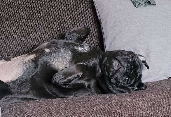 Fotochallenge Nr.65-Beitrag-Bild