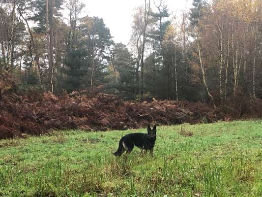 Zutreffende "Vorurteile"?-Beitrag-Bild
