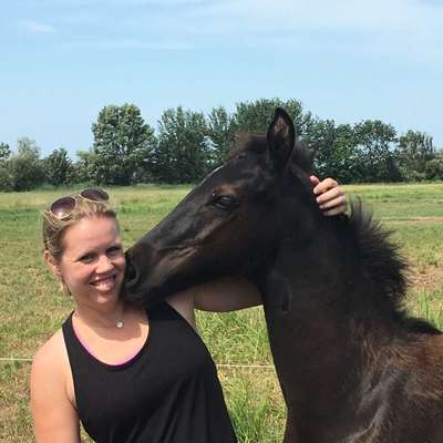 Hundetreffen-Welpentreffen in Langen oder umzu-Profilbild