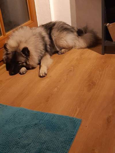 Kontrolle - verfolgt mich zu Hause-Beitrag-Bild