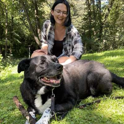 Gassi-Services-Sophias Hunde Runde-Bild