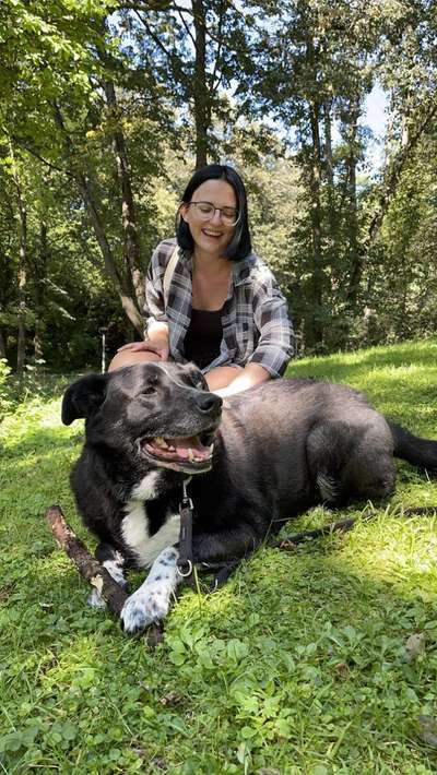 %{de_profession_title}-Professioneller Gassi Service-Bild