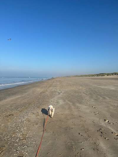 Urlaub am Meer-Beitrag-Bild