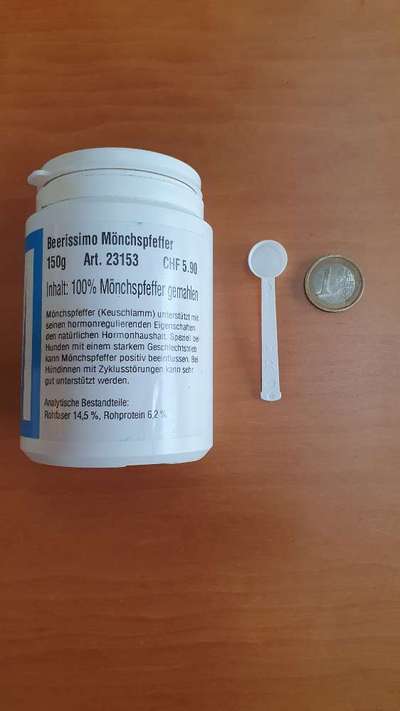 Scheinschwanger und Tierärztin rät zur Kastration/Sterilisation-Beitrag-Bild