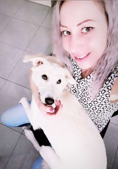 Fotochallenge 32 - Mein Schoßhündchen-Beitrag-Bild