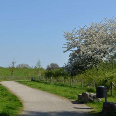 Hundetreffen-Flottmannpark-Bild