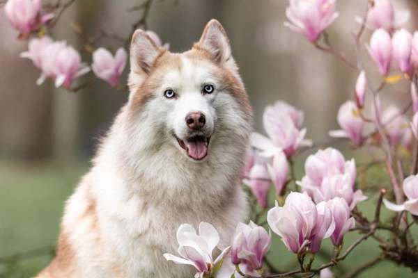 Austausch zur Fotografie-Beitrag-Bild