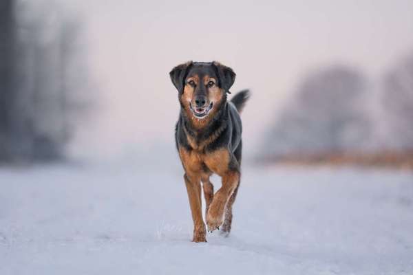 Austausch zur Fotografie-Beitrag-Bild