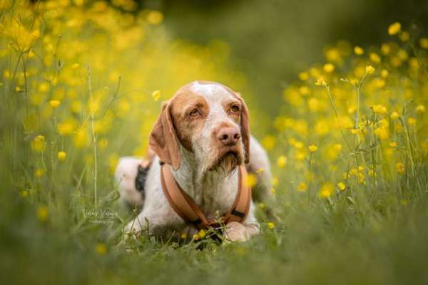 Austausch zur Fotografie-Beitrag-Bild