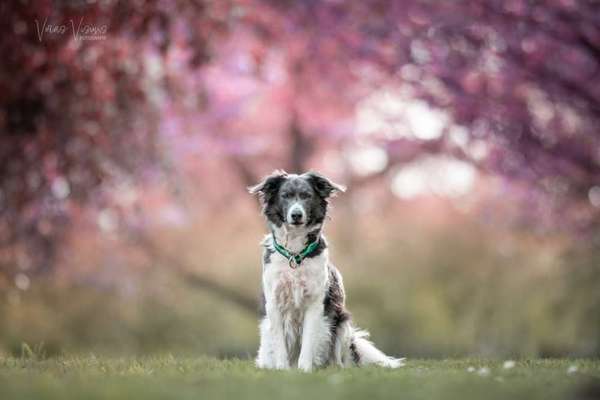 Austausch zur Fotografie-Beitrag-Bild