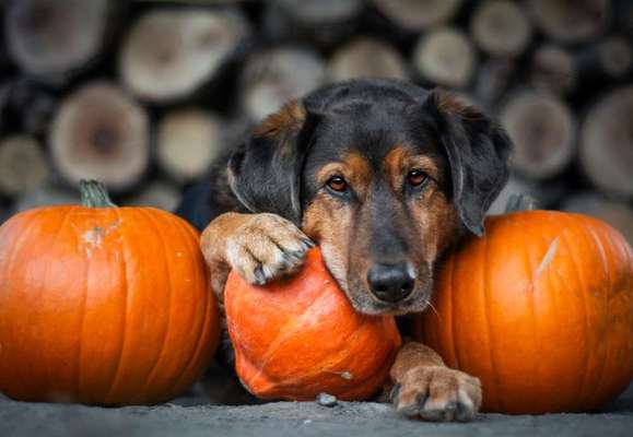 Austausch zur Fotografie-Beitrag-Bild