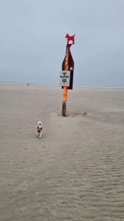 Hundeauslaufgebiet-Strandbad-Bild