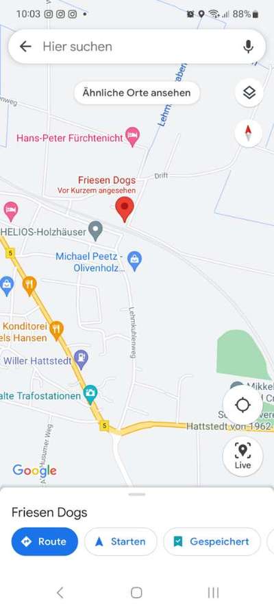 Hundeschulen-Hundeschule Friesen Dogs-Bild