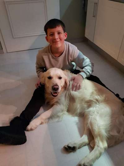 Wo sind die Golden Retriever Liebhaber?-Beitrag-Bild