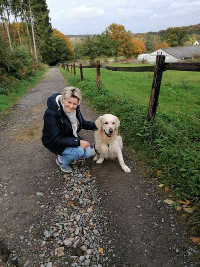 Wo sind die Golden Retriever Liebhaber?-Beitrag-Bild