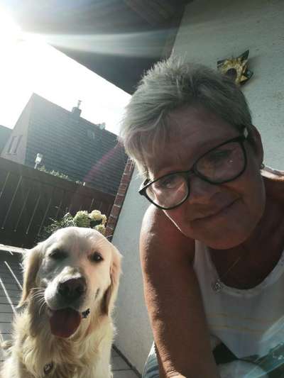 Wo sind die Golden Retriever Liebhaber?-Beitrag-Bild