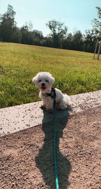 Theos  Fotochallenge Nummer 2-Beitrag-Bild