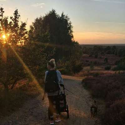 Hundetreffen-Gemeinsame Spaziergänge im Volkspark/Altona-Bild