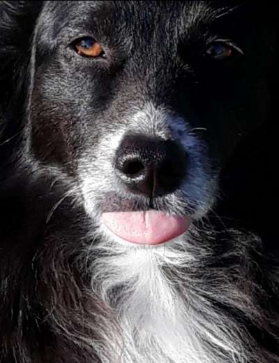 Handyfoto challenge Nr. 13: Waschlappen raus!-Beitrag-Bild