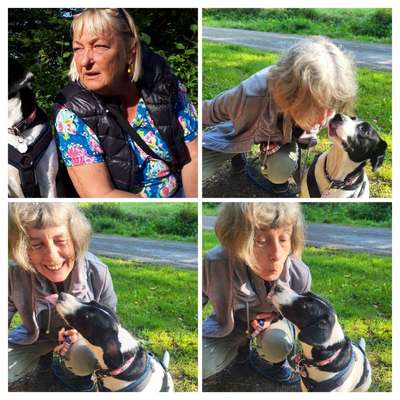 aktuelles Foto Gruppe Analdrüse oder Analbeutelentzündung Probleme 🍀❤️‍🩹🐶🙈