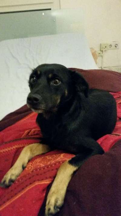 Häufig erkältet, Augen vereitert und Mandeln entzündet-Beitrag-Bild