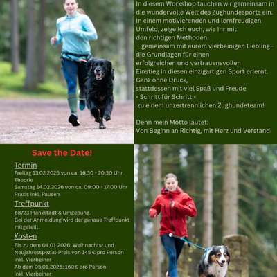 Hundetreffen-Workshop Canicross/Zughundesport-Bild