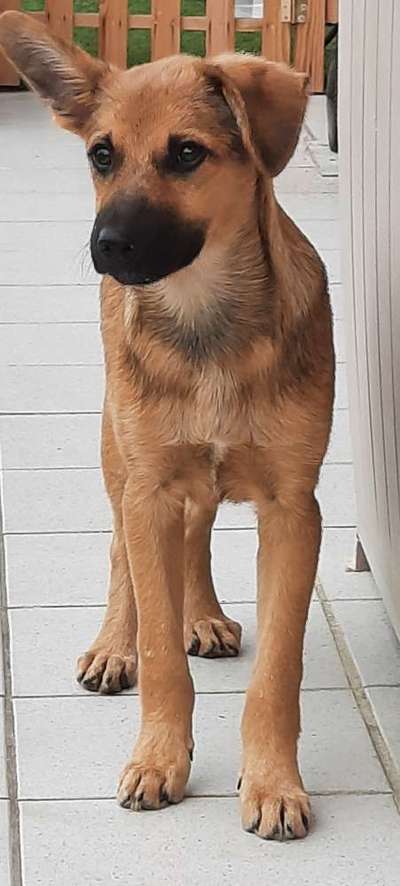 Sie werden so schnell erwachsen ...-Beitrag-Bild