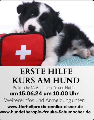 Giftköder-Erste Hilfe Kurs am Hund-Bild