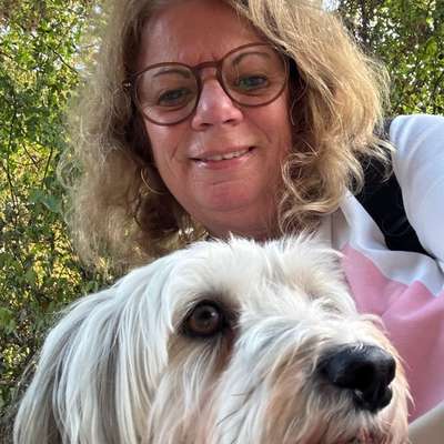 Hundetreffen-Balou sucht einen Kumpel für gemeinsame Spaziergänge-Bild