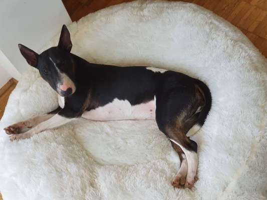 Erfahrung mit Wolkenbett-Beitrag-Bild