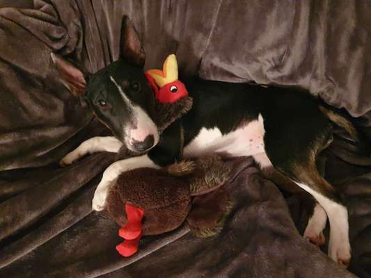 Zeigt her euer Lieblingsspielzeug-Beitrag-Bild