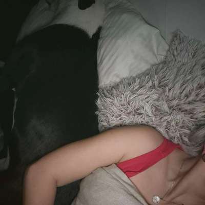 Darf der Hund bei Euch im Bett schlafen?-Beitrag-Bild