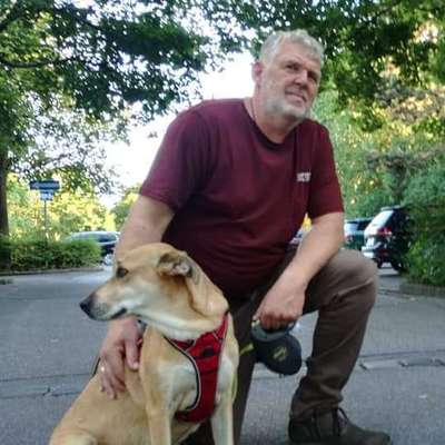 Hundetreffen-Gemeinsame Spaziergänge-Profilbild