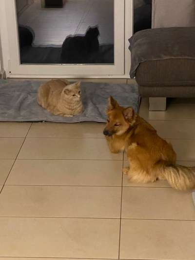 CHALLENGE Nr.17-Beitrag-Bild