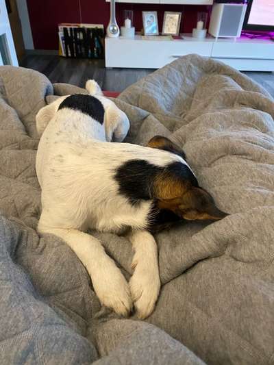 Die unbequemsten und lustigsten Schlafpositionen-Beitrag-Bild