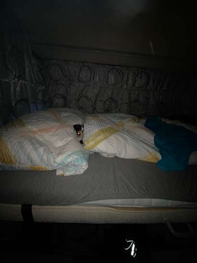 Die unbequemsten und lustigsten Schlafpositionen-Beitrag-Bild