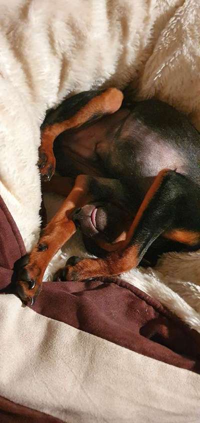 FOTO-Challenge  NR. 91: Die pure Entspannung-Beitrag-Bild