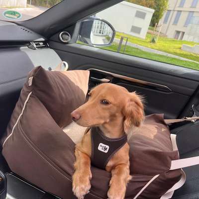 Suchmeldung-Peanut-Bild