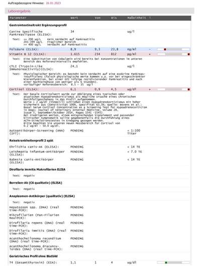 Dringende Hilfe: Hund isst nichts/Apathie-Beitrag-Bild