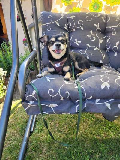 Das beste grinsefoto-Beitrag-Bild