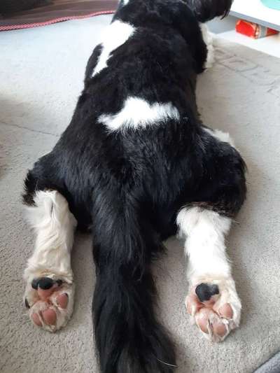 Blick fürs Detail!-Beitrag-Bild