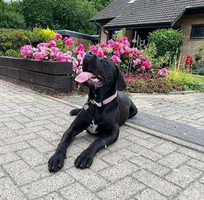 Fotochallenge Nr.122-Beitrag-Bild